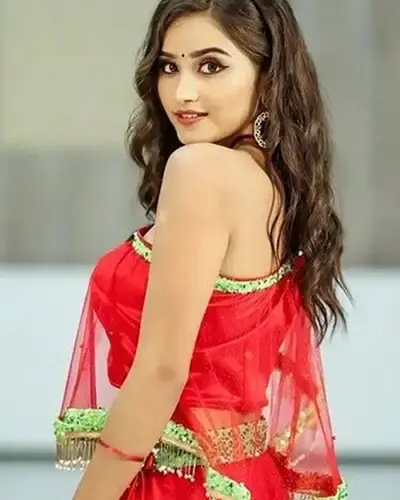 Escort In Malviya Nagar Delhi